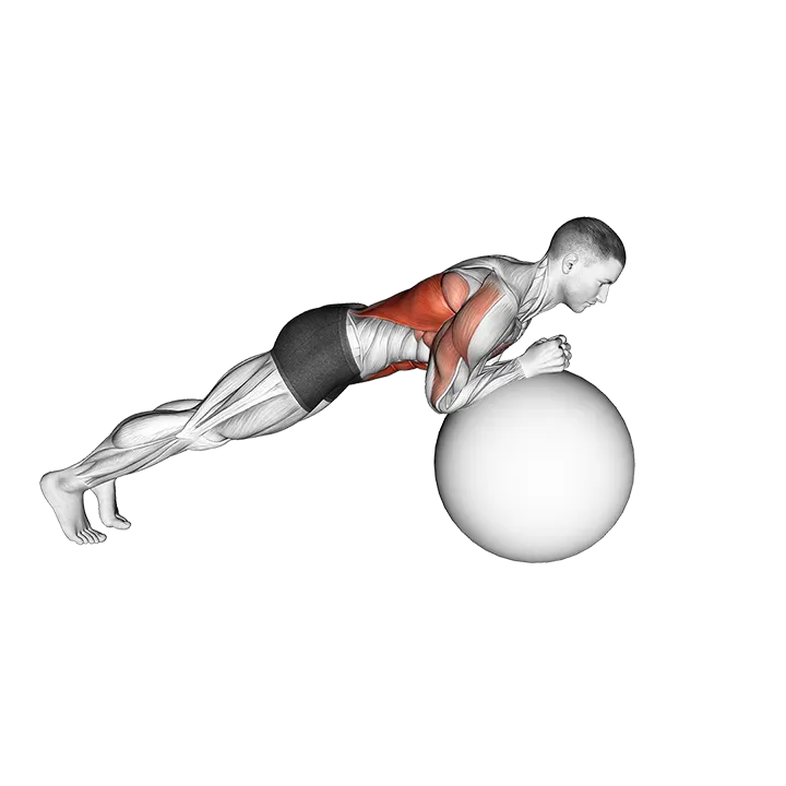 Exercise Ball Body Saw exercise animation (Hombre)