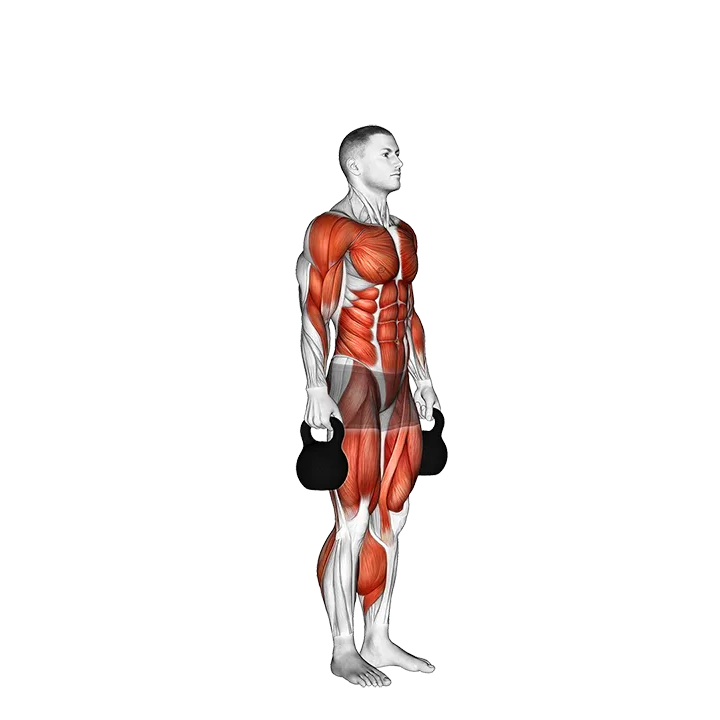 Kettlebell Burpee exercise animation (Male)