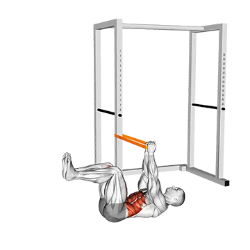 Resistance Band Anti Rotation Dead Bug