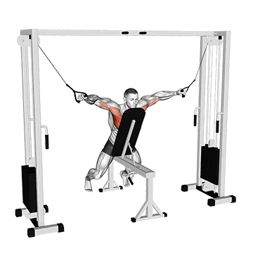 Cable Fly with Chest Supported