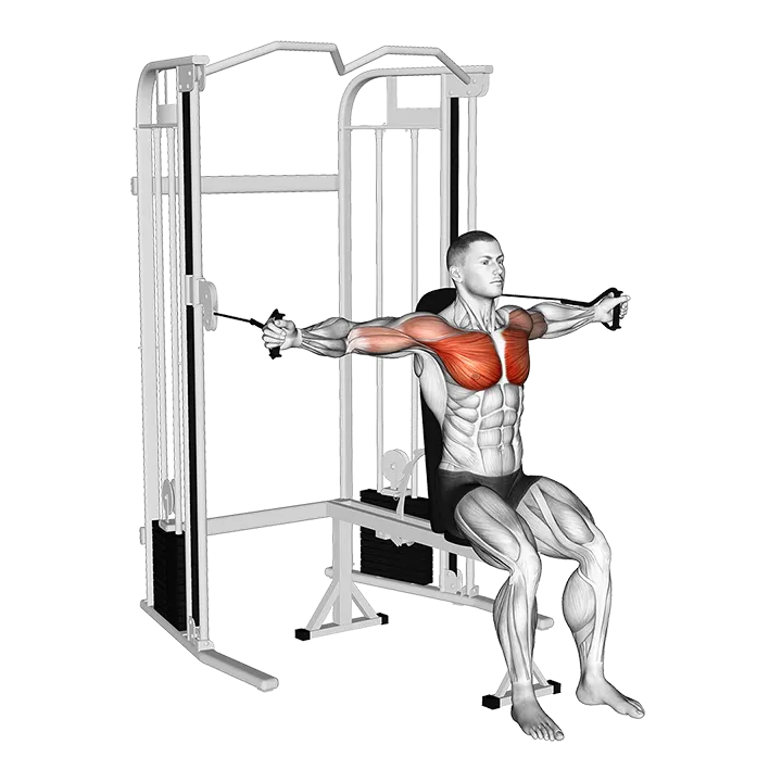 Cable Seated Chest Fly exercise animation (Male)
