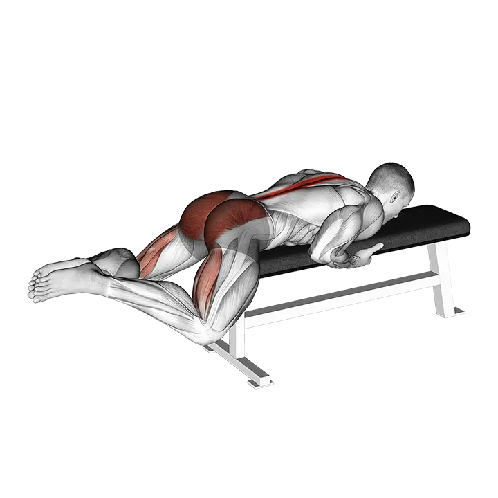 Frog Reverse Hyperextension (on a bench) exercise animation (Male)