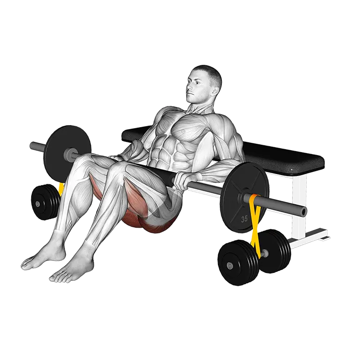 Barbell Hip Thrust with Resistance Band exercise animation (Male)
