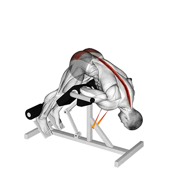 Resistance Band 45 degrees Hyperextension