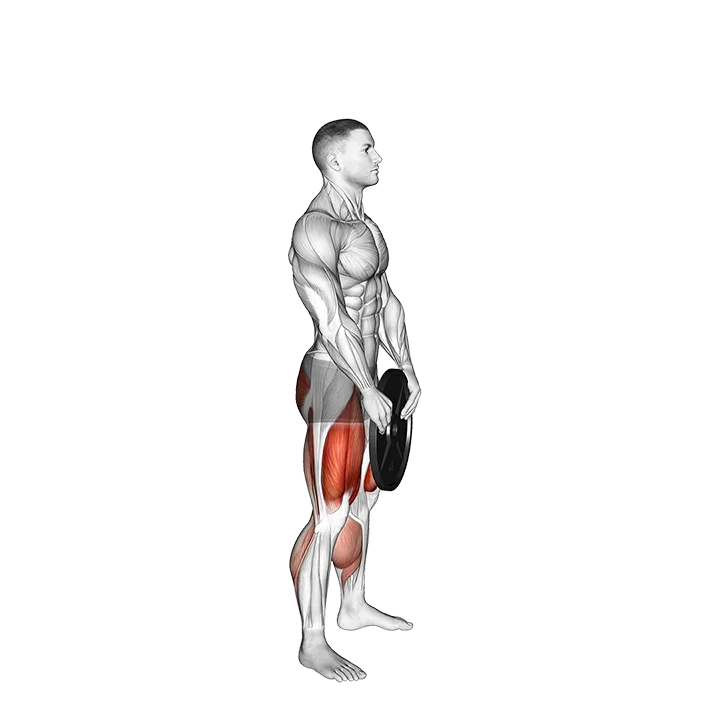 Weighted Squat Jump with Plate exercise animation (Male)