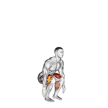 Resistance Band Jump Squat