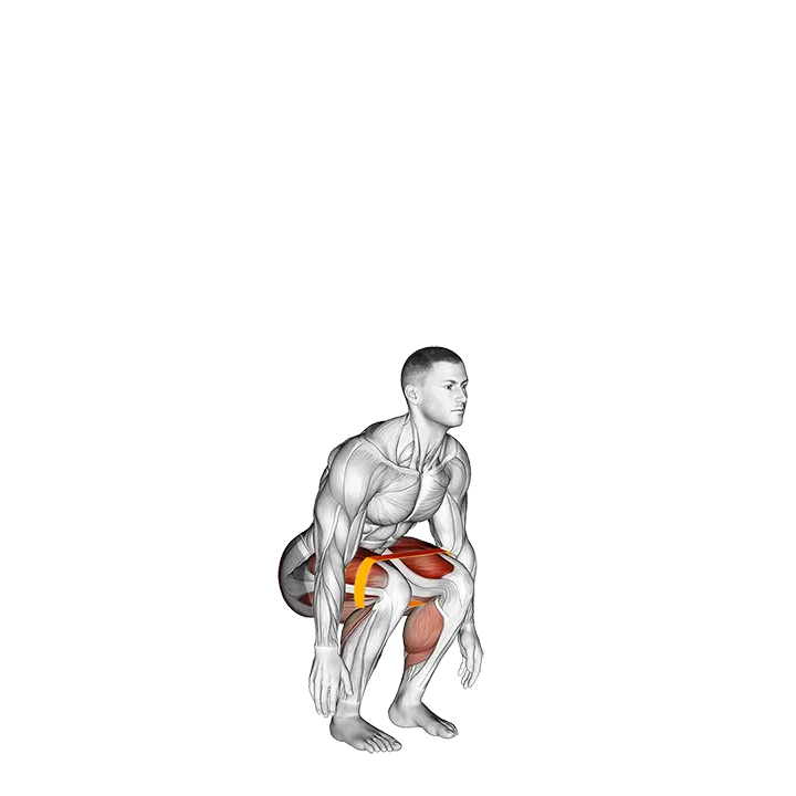 Resistance Band Jump Squat exercise animation (Male)