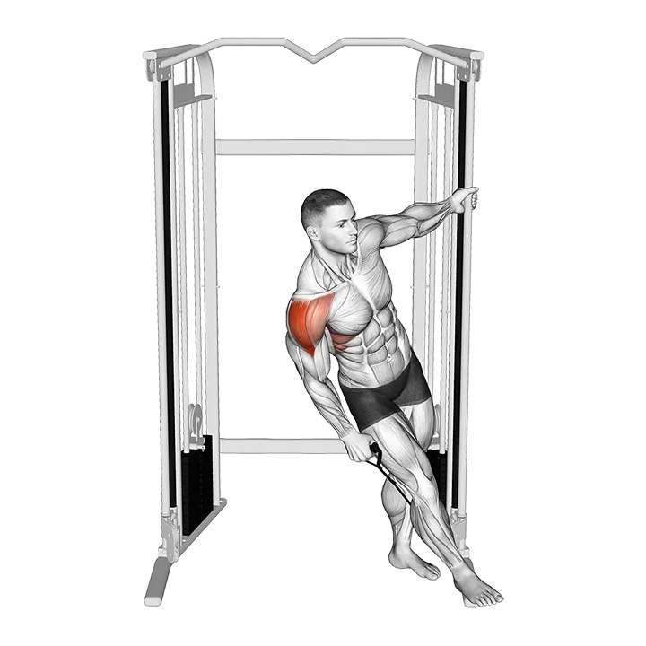 Cable Leaning Lateral Raise exercise animation (Male)