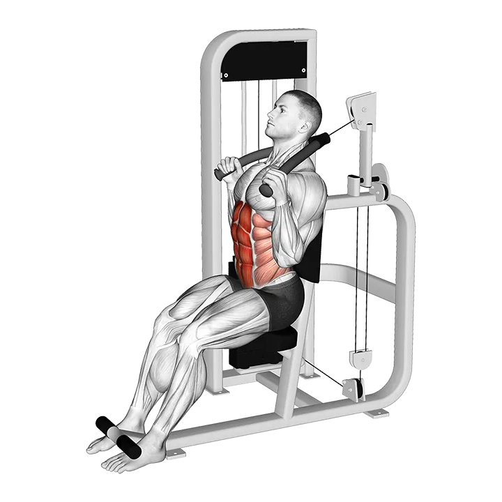 Lever Seated Full Crunch exercise animation (Male)