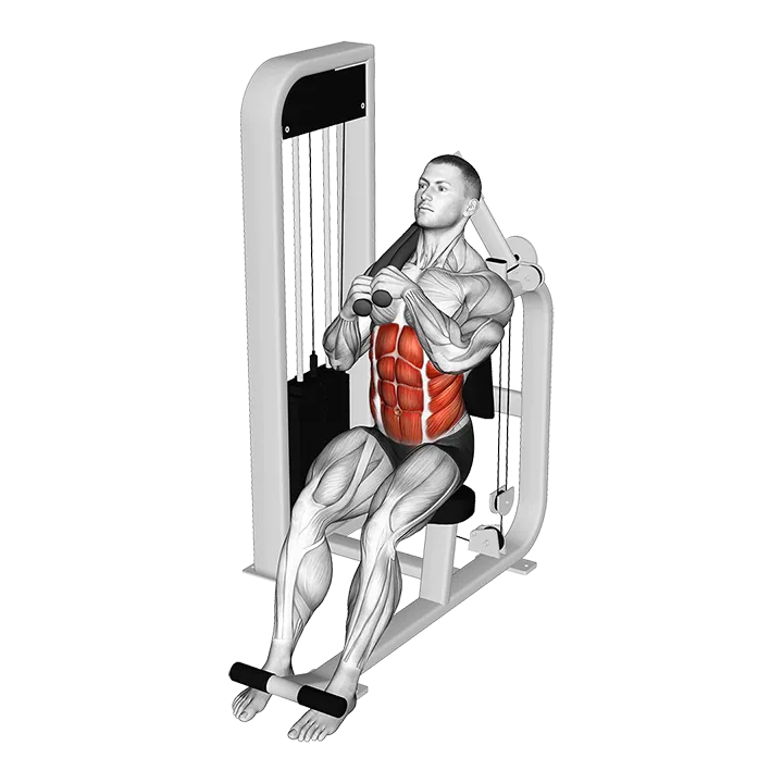 Lever Seated Left Side Crunch exercise animation (Male)
