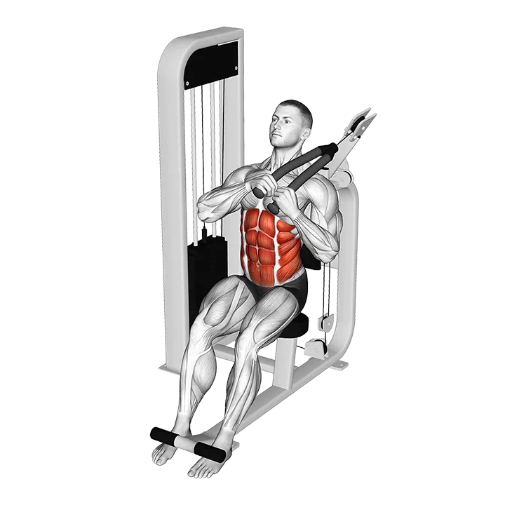 Lever Seated Right Side Crunch exercise animation (Male)