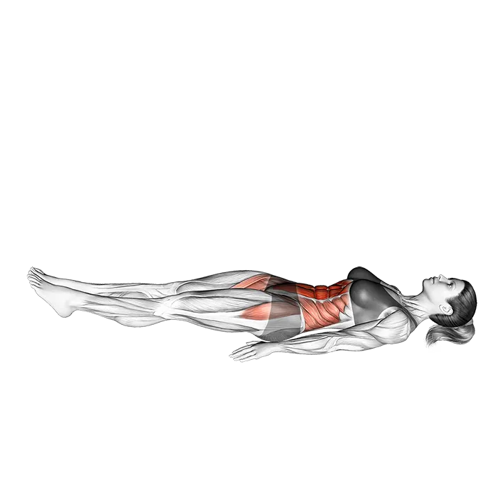 Jack knife Sit-Up exercise animation (Female)
