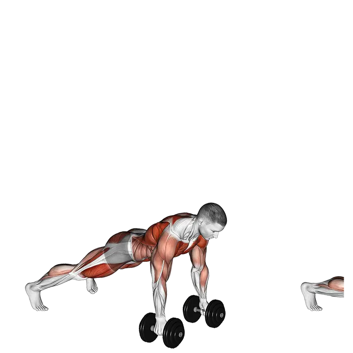 Dumbbell Complex Push-Up Row Clean and Press exercise animation (Male)