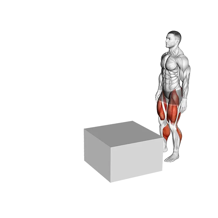 Jump Box Over exercise animation (Male)
