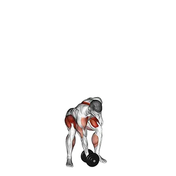 Dumbbell One Arm Snatch