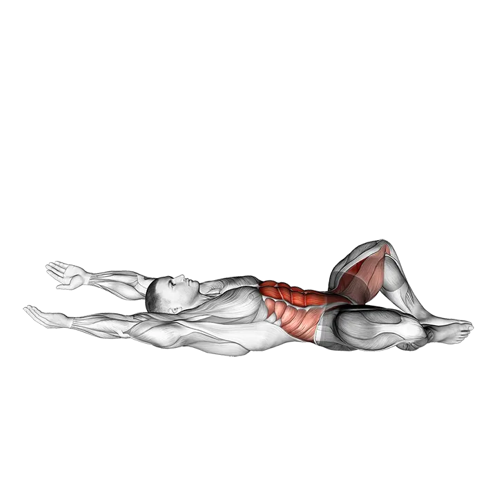 Frog Sit-up exercise animation (Male)