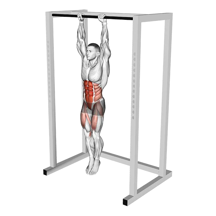 Hanging Knees to Elbows exercise animation (Male)