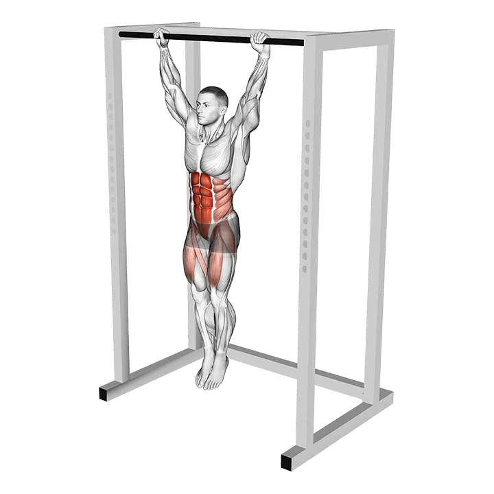 Hanging Toes to Bar exercise animation (Male)