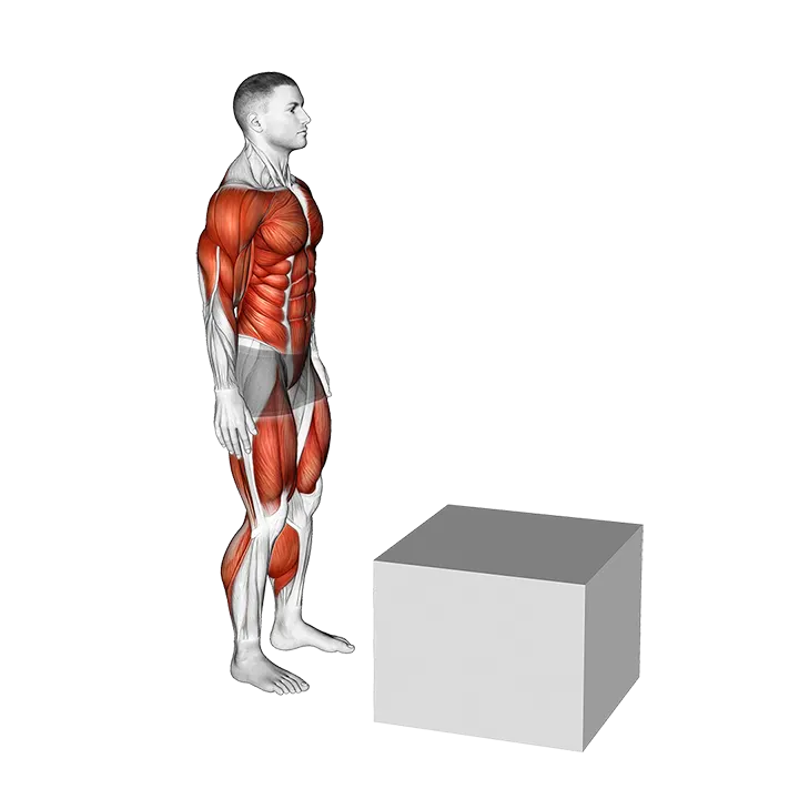 Jump on Fit-Box exercise animation (Male)