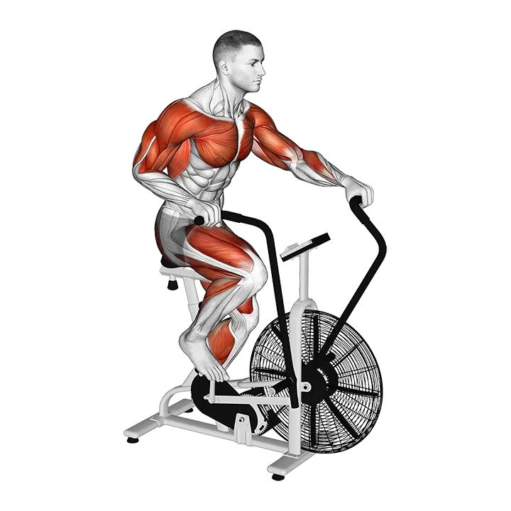 Assault Bike Run exercise animation (Male)
