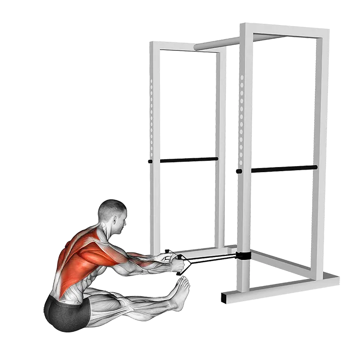 Band seated row exercise animation (Male)