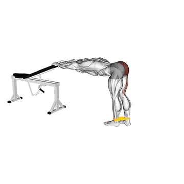Resistance Band One Leg Kickback (Bent Position)