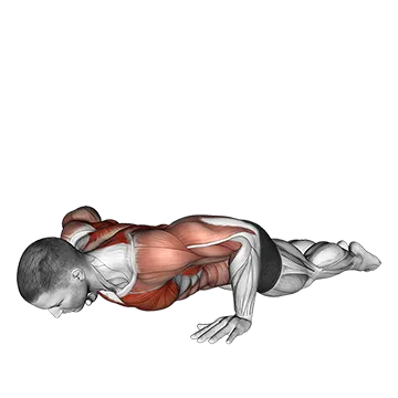 Bodyweight Kneeling Push-up Row