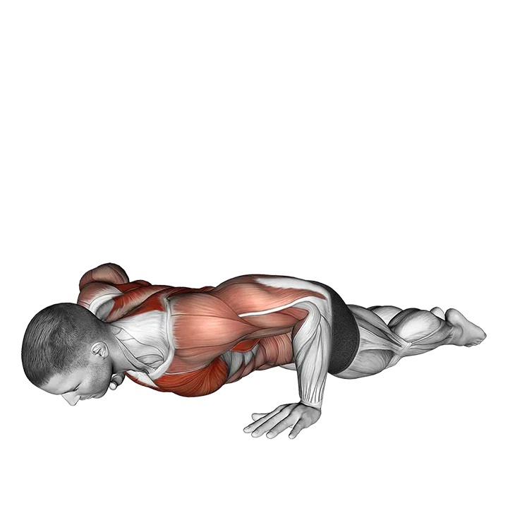 Bodyweight Kneeling Push-up Row exercise animation (Male)