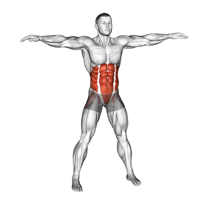 Bodyweight Windmill exercise animation (Male)