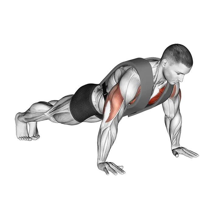 Weighted Push-up with Vest exercise animation (Male)