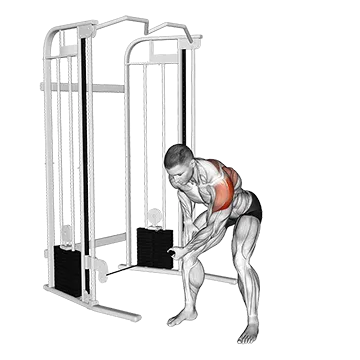 Cable Bent-Over One Arm Lateral Raise