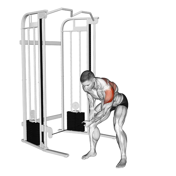 Cable Bent-Over One Arm Lateral Raise exercise animation (Male)