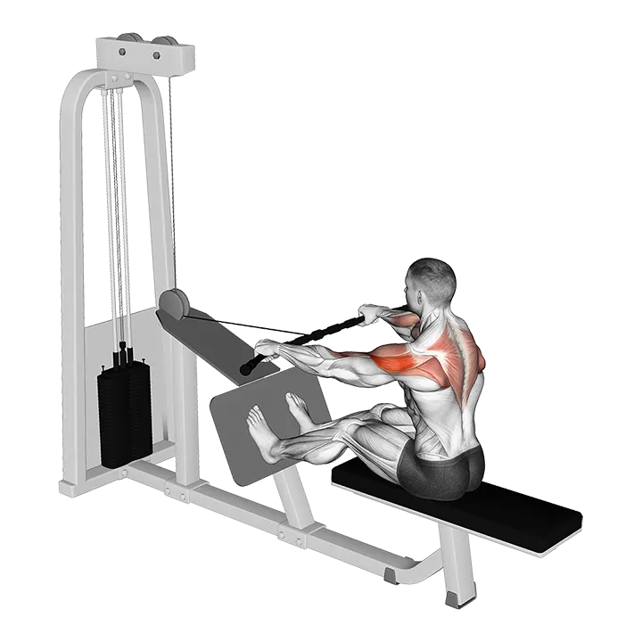 Cable Rear Delt Row exercise animation (Male)