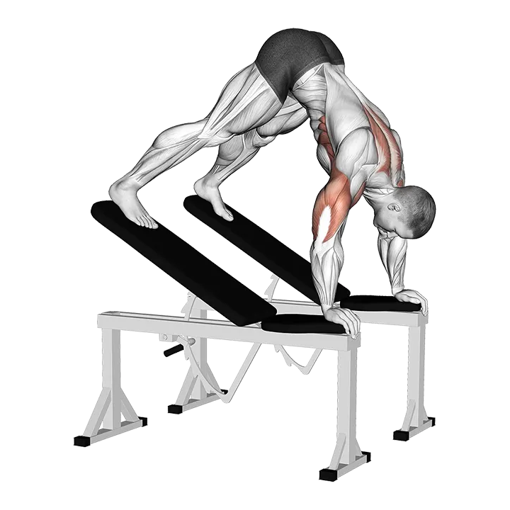 Decline Pike Press (between benches) exercise animation (Male)