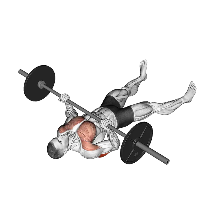 Barbell Reverse-Grip Floor Press exercise animation (Male)