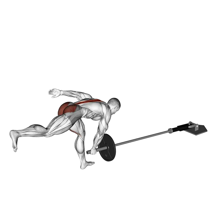 Landmine Single Leg Landmine RDL exercise animation (Male)