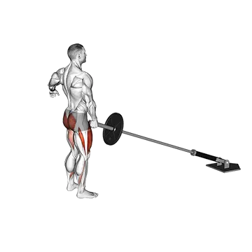Landmine Rear Lunge