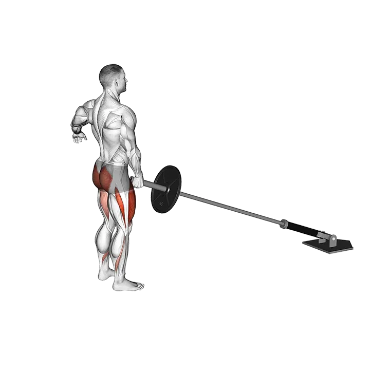 Landmine Rear Lunge exercise animation (Male)