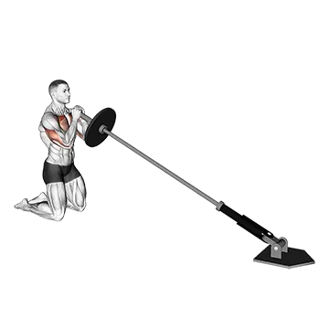 Landmine Kneeling Squeeze Press