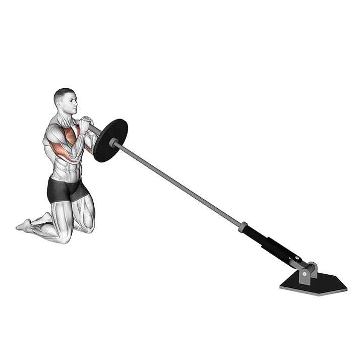 Landmine Kneeling Squeeze Press exercise animation (Male)
