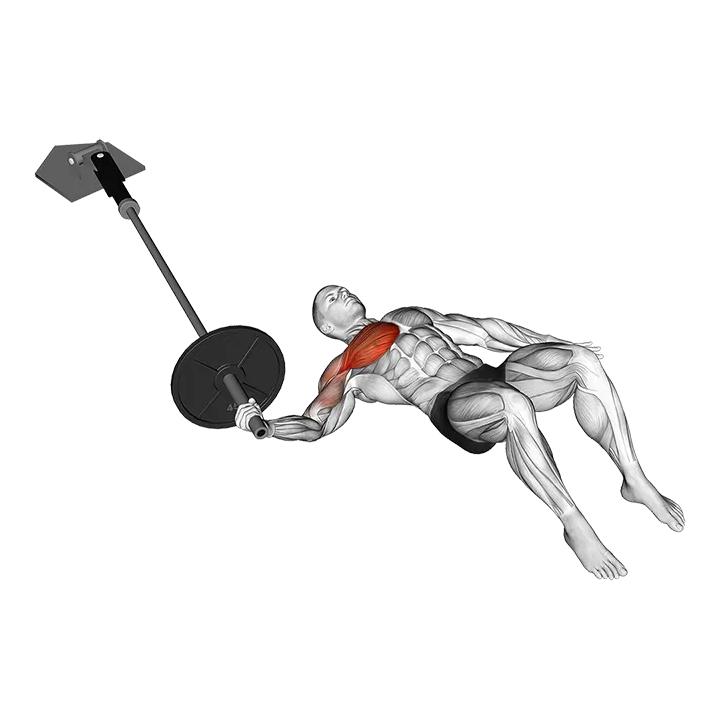Landmine Floor One Arm Chest Fly exercise animation (Male)