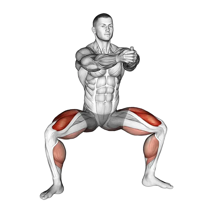 Squat Tip Toe exercise animation (Male)