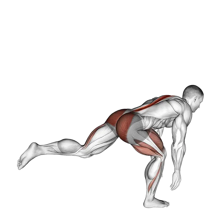 Bodyweight Single Leg Deadlift exercise animation (Male)