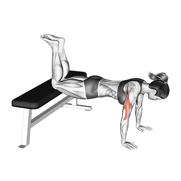 Decline Push-up (Kneeling)