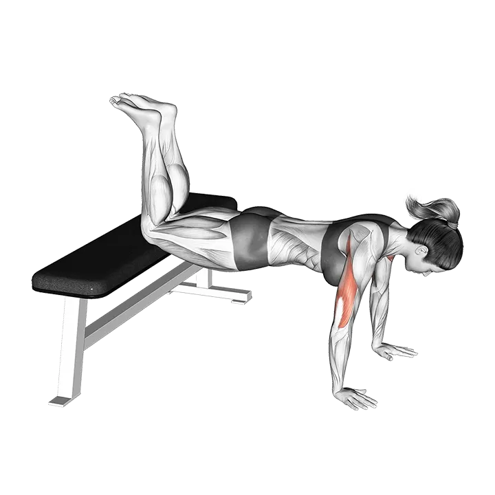 Decline Push-up (Kneeling) exercise animation (Female)