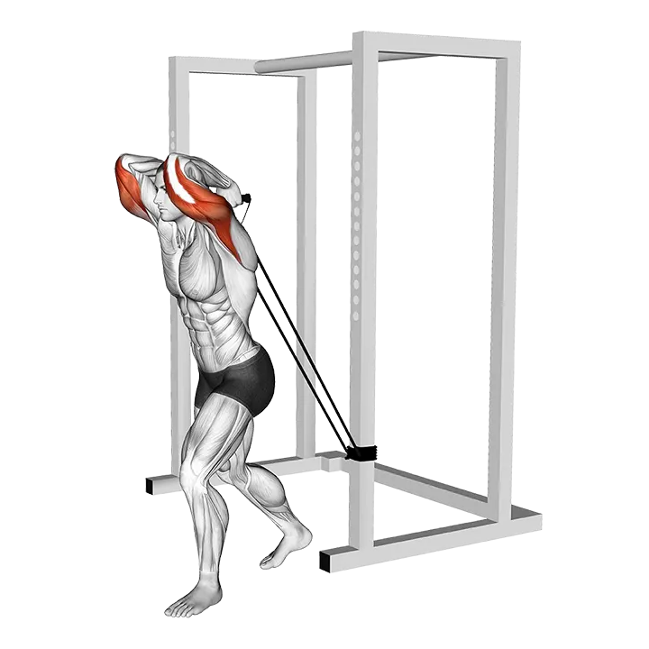 Band overhead triceps extension exercise animation (Male)