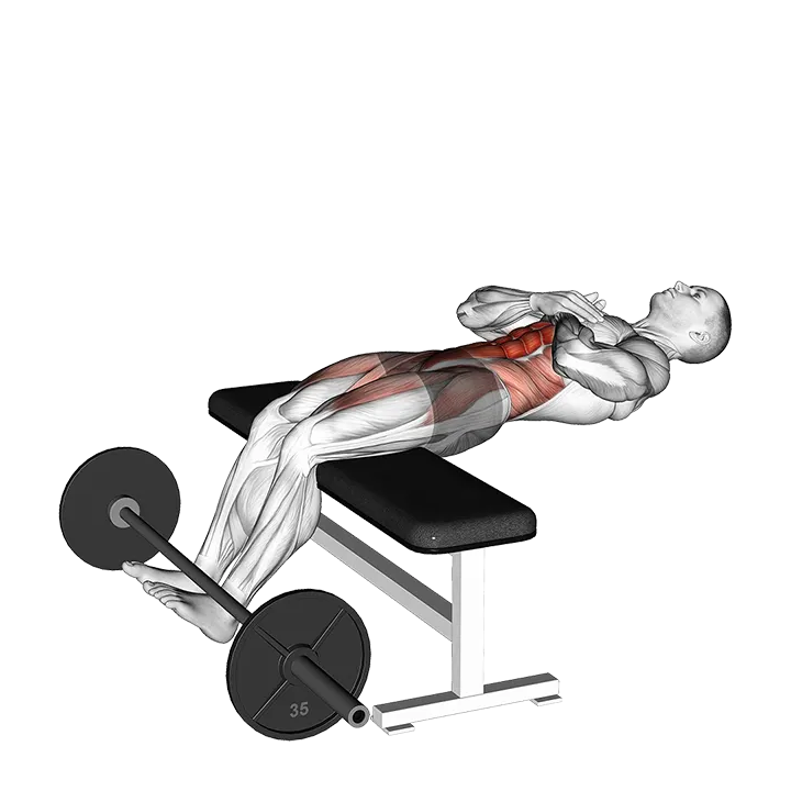 Romanian Chair Sit-Up (VERSION 2) exercise animation (Male)