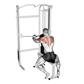 Cable Seated Rear Delt Fly with Chest Support
