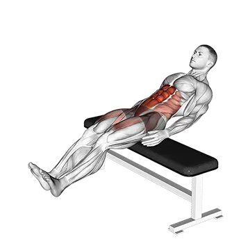 Seated Alternate Crunch
