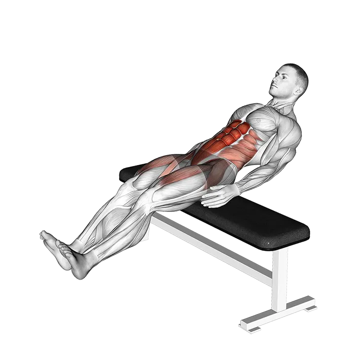 Seated Alternate Crunch exercise animation (Male)
